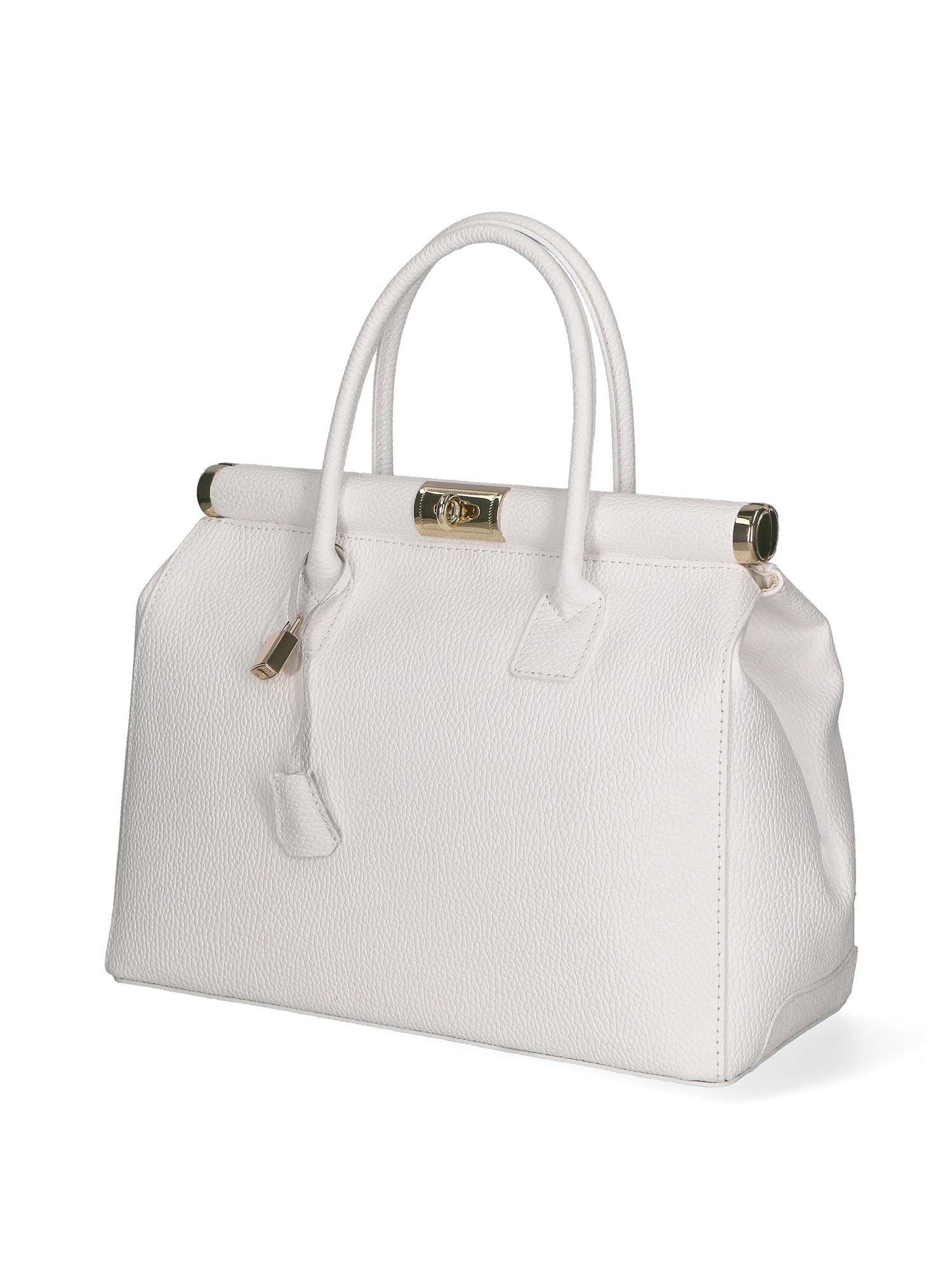 Handbag-1