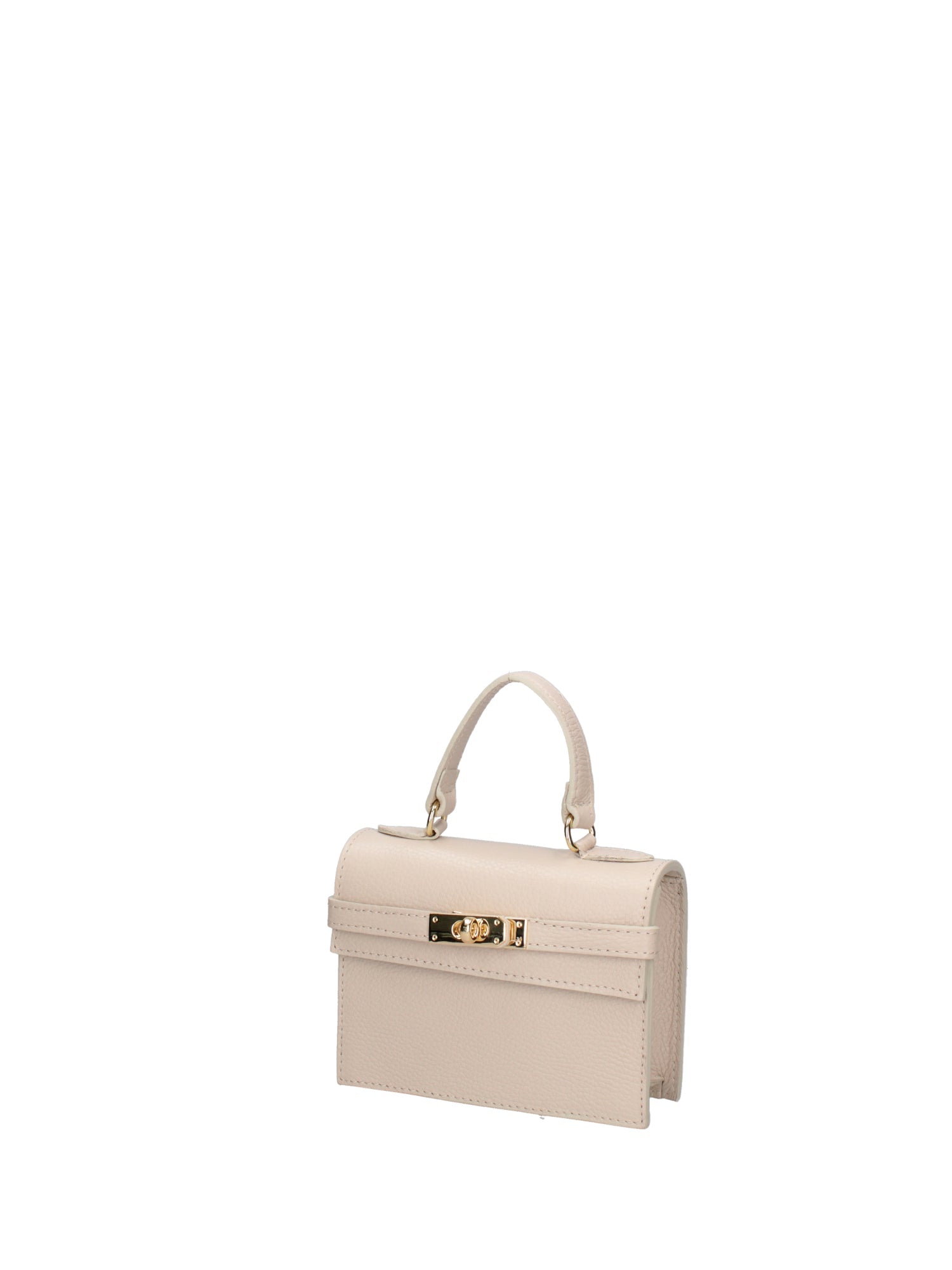 Handbag-2