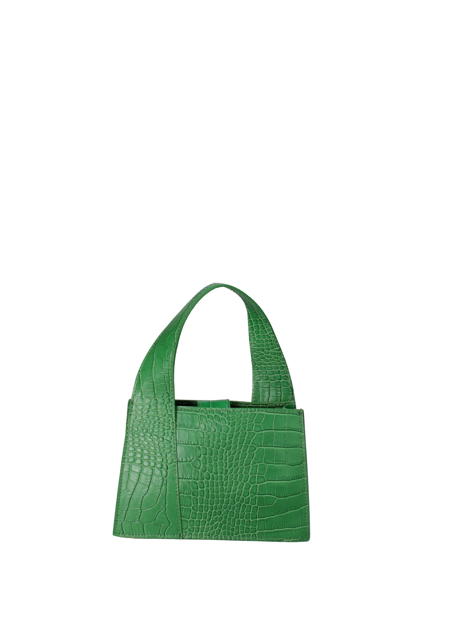 Handbag-2
