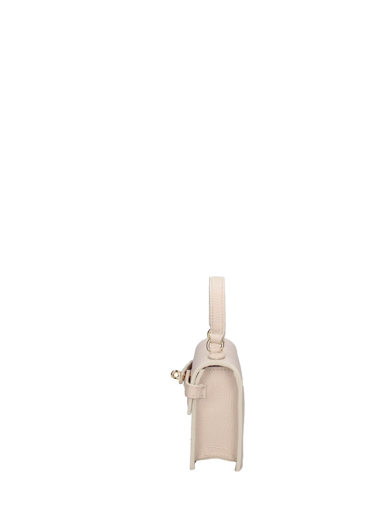Handbag-1